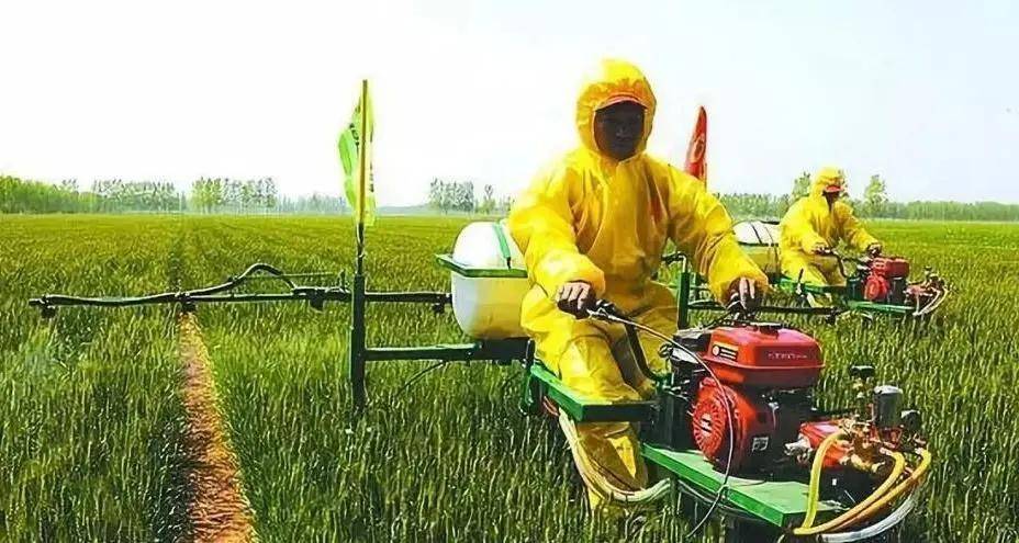 【模式研究】农业生产托管利益分配模式比力研究_太阳成集团tyc(图2)
【模式研究】农业生产托管利益分配模式比力研究_太阳成集团tyc(图2)