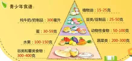 鹅苗批发价多少钱一只?2020年养鹅前景分析-太阳成集团tyc(图1) 太阳成集团tyc