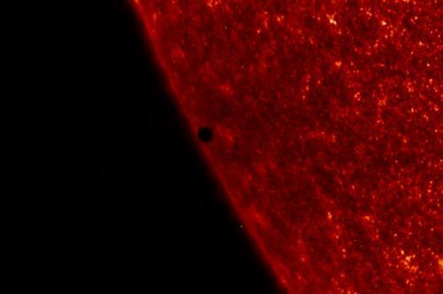 太阳成集团tyc_阿根廷爆发严重蝗灾 至少70万公顷土地受影响(图1) 太阳成官网