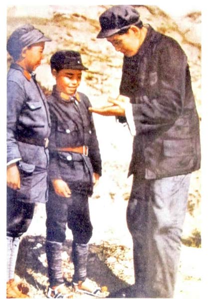 不同型号的玉米收割机价格有差别|太阳集团tyc(图3) 太阳集团tyc