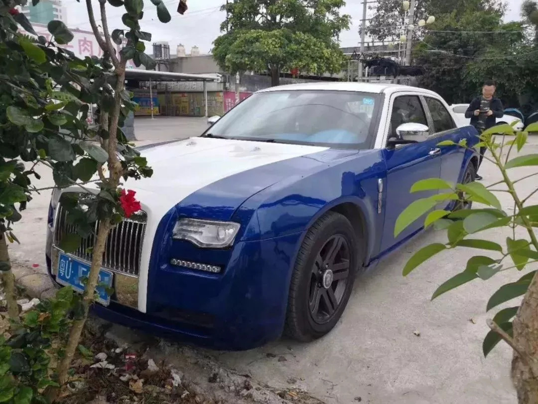 小麦产量形成关键期面临重大病虫害|太阳成集团tyc(图1) 太阳集团tyc