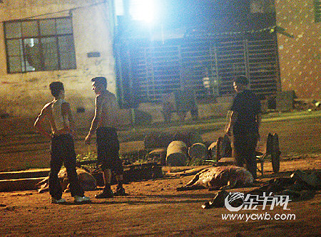 “太阳成官网”网曝陈冠希秦舒培得女 网友:如果是真的就恭喜冠希哥了(图3) 太阳集团tyc