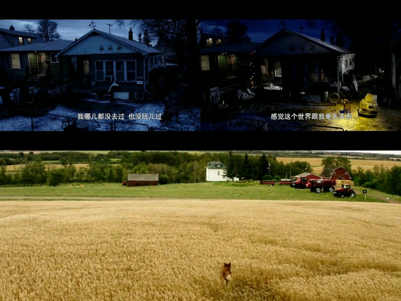 绝色莫文蔚昆明收官歌迷难舍 满场星海感动跨年【太阳集团tyc】(图4) 太阳集团tyc