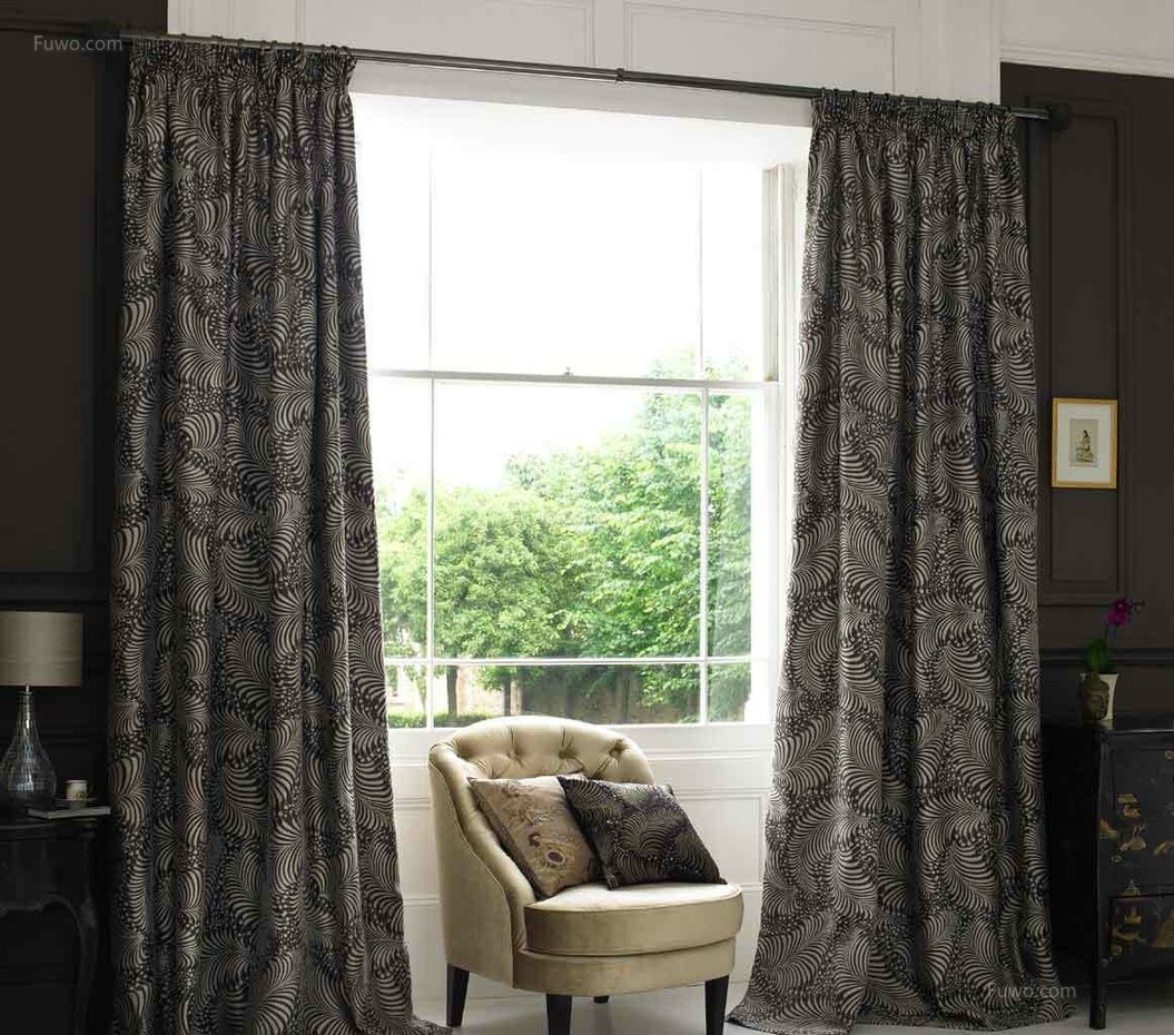 太阳成集团tyc|街面高价兜售大乌龟市民难辨真假(图3) 太阳成官网