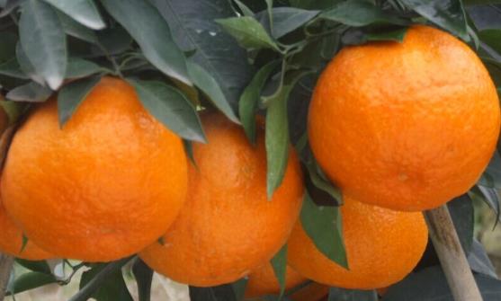 《流淌的美好时光》曝光“逆流逐梦”版预告 马天宇郑爽开启职场生存战-太阳成官网(图4) 太阳成官网