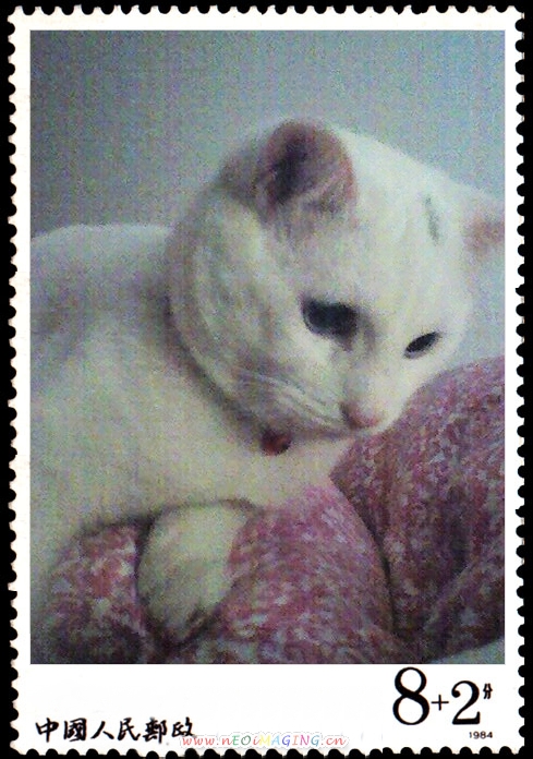 陈洁KiKi助阵丰收节公益直播 携刘畊宏变身“吃播”【太阳成官网】(图4) 太阳成集团tyc