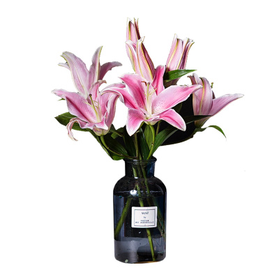 ‘太阳成官网’吉利汽车11月销量143234辆 同比增长约1%(图2) 太阳集团tyc