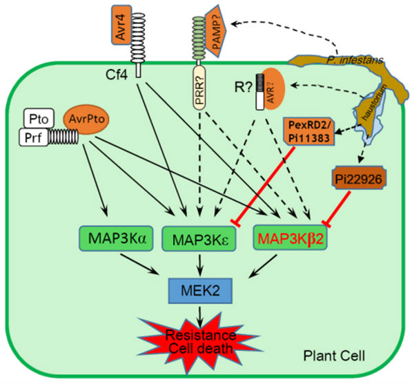 首届锡耶纳国际摄影奖公布 中国美景惊艳全球|太阳成集团tyc(图3) 太阳成集团tyc
