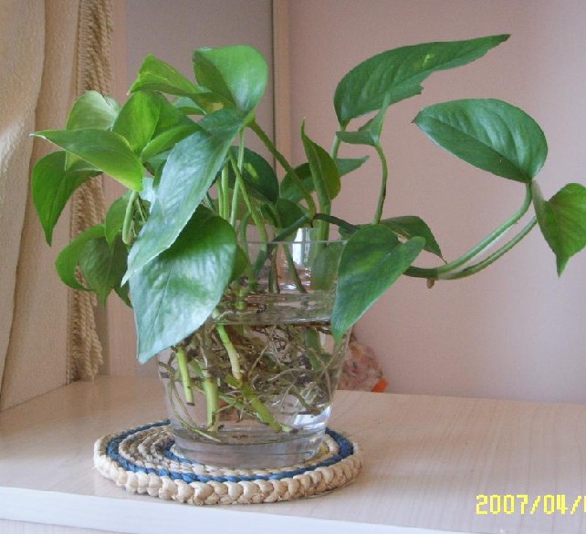 太阳成集团tyc-三大车企重组传言告破 整合资源是合作的初衷(图4) 太阳成集团tyc