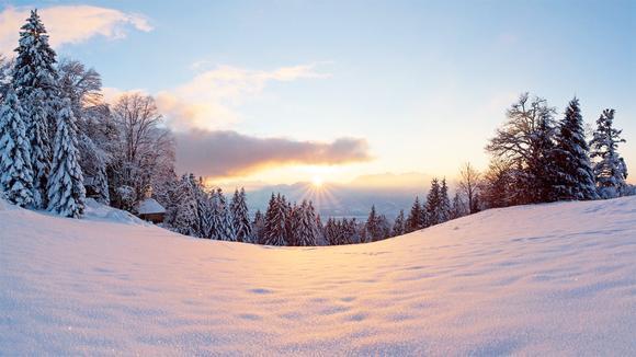 “太阳成集团tyc”杞县大蒜多少钱一斤?10月26日杞县大蒜价格行情(图2) 太阳成集团tyc
